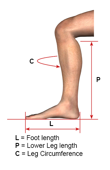 Diagram showing leg measurement points: L for foot length (heel to toe), P for lower leg length (knee to ankle), and C for leg circumference