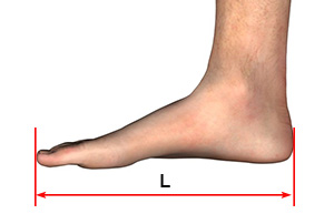 Diagram showing how to measure foot length from heel to longest toe